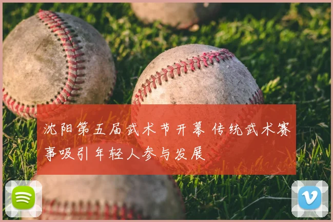 沈阳第五届武术节开幕 传统武术赛事吸引年轻人参与发展