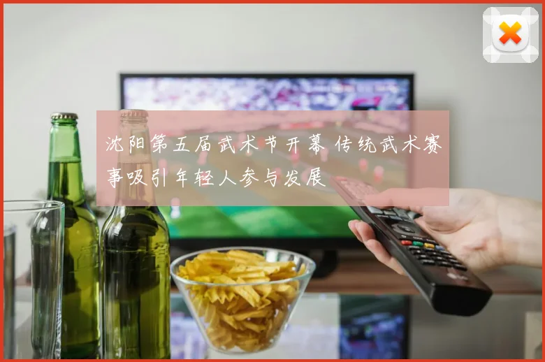 沈阳第五届武术节开幕 传统武术赛事吸引年轻人参与发展